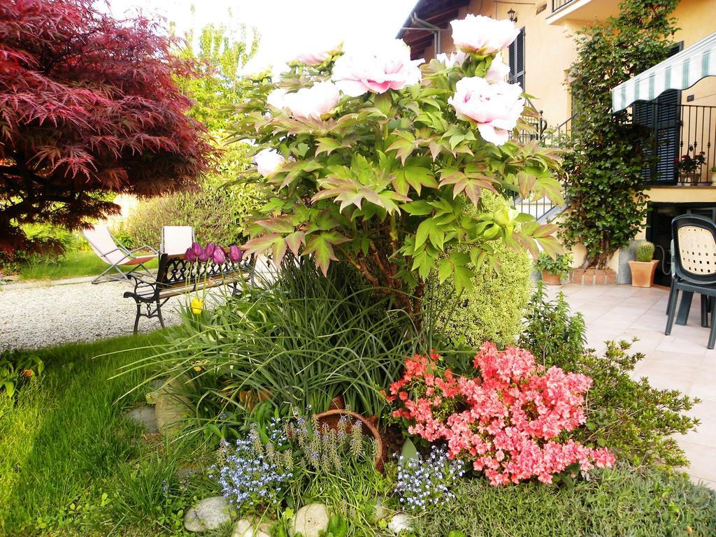 Bed&Breakfast La Siepe Pinerolo Esterno foto